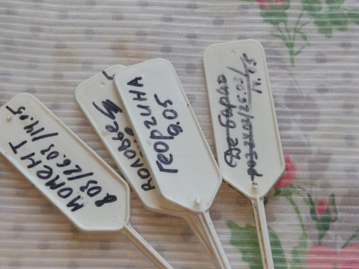 Мои таблички с прошлых сезонов.