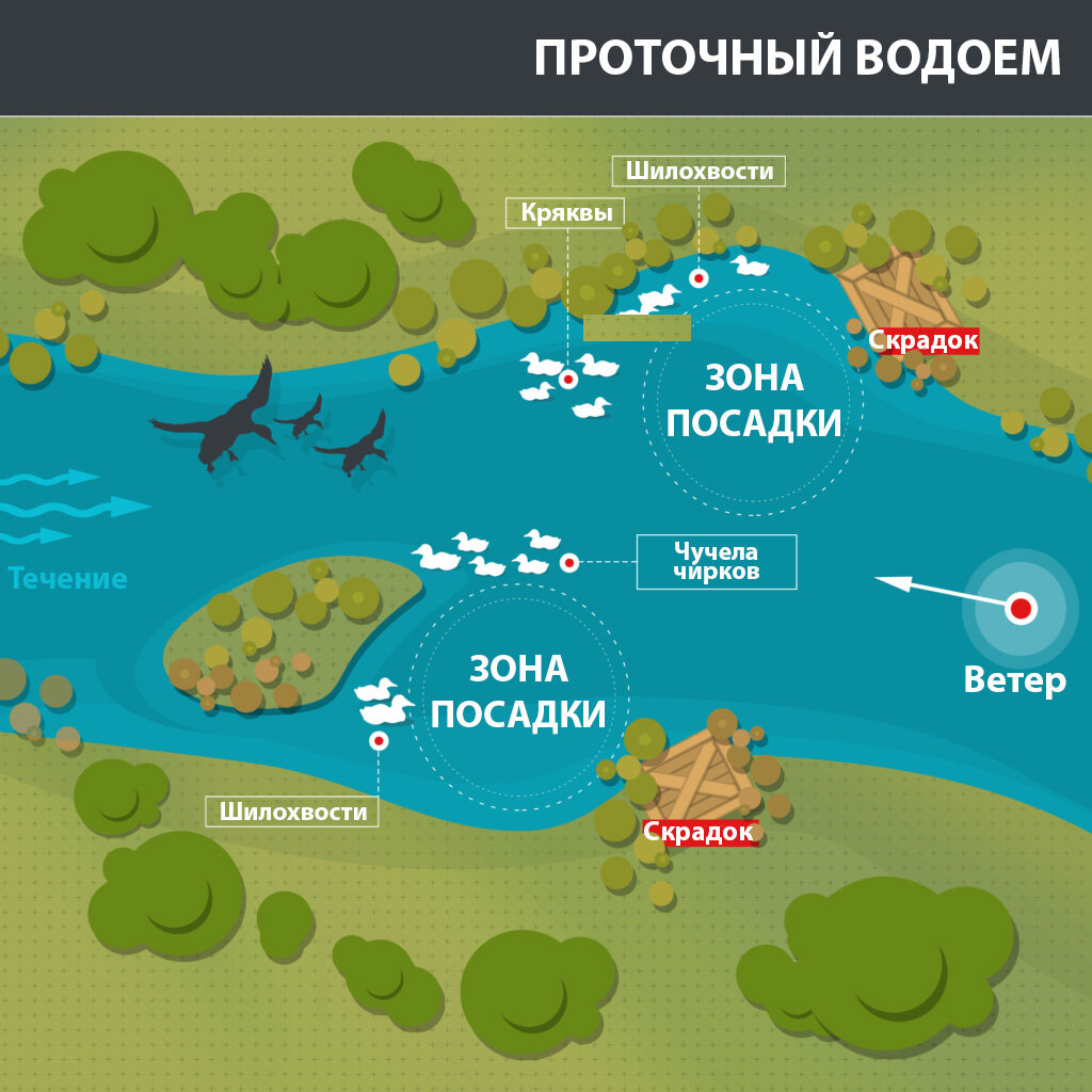 Расстановка чучел. Схемы расстановки чучел уток. Расстановка утиных чучел. Расстановка чучел уток.