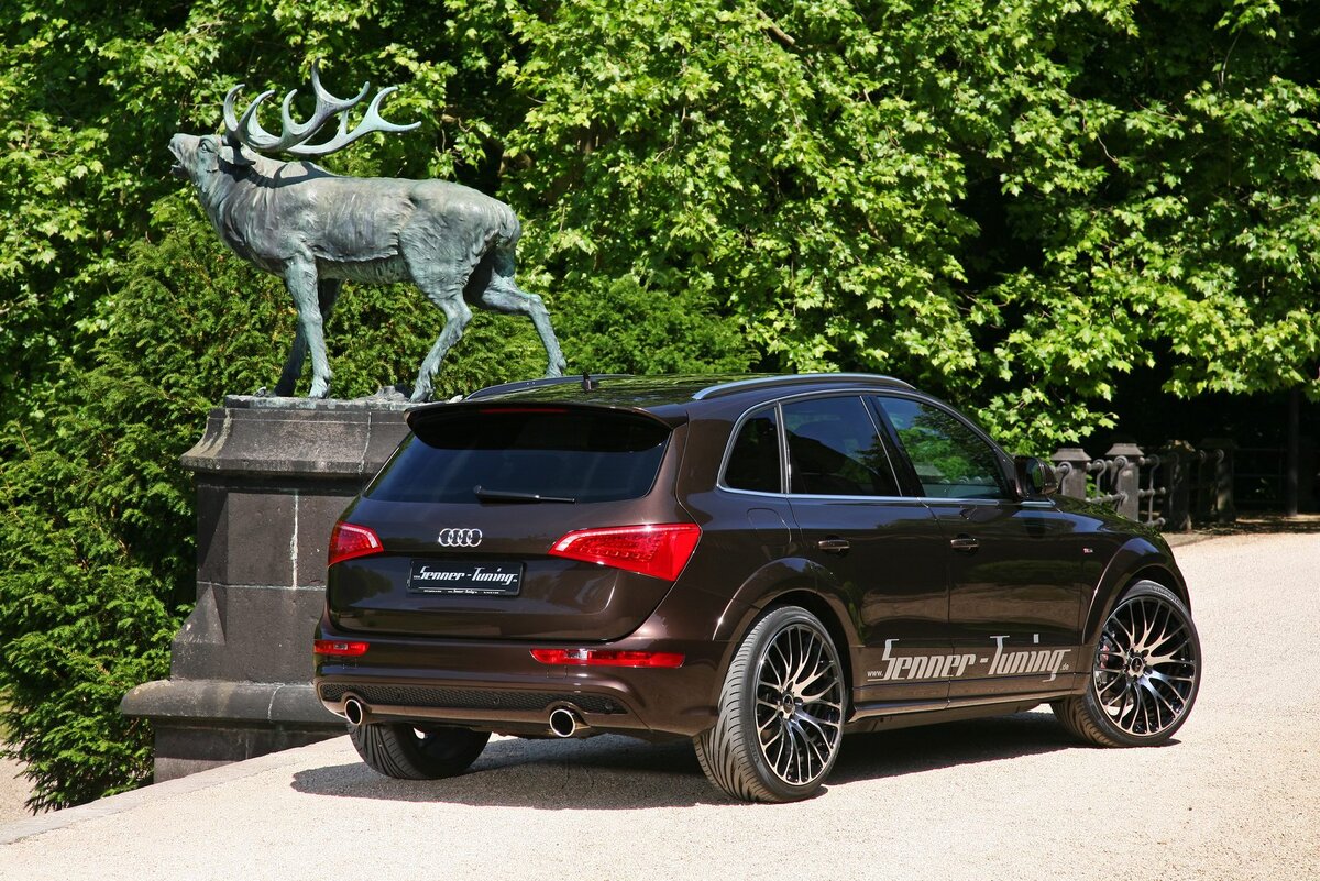 Audi Q5 появился на рынке осенью 2008 года. Первоначально линейка двигателей включала в себя одну бензиновую и две дизельные модели. Бензиновый двигатель 2,0 л с непосредственным впрыском топлива и турбонаддувом развивает мощность 211 л.с. и крутящий момент 350 Н·м. В сегменте дизельных двигателей предлагаются 2-литровый TDI мощностью 170 л.с., развивающий крутящий момент 350 Н·м, и 3-литровая шестицилиндровая модель мощностью 240 л.с., выдающая крутящий момент 500 Н·м. В июле 2009 года линейка двигателей дополнилась двумя новыми моделями — 2.0 TDI 143 л.с. и 2.0 TFSI 180 л.с