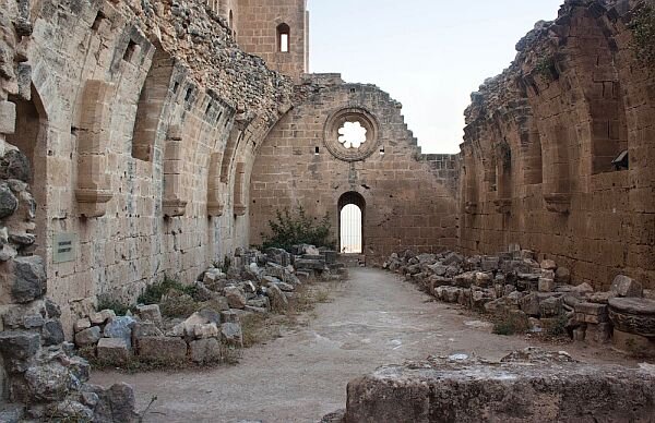 Фото: prokipr.ru