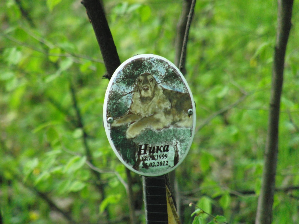 Пионерский лагерь, спутник, река кондурча. Куйбышевский государственный институт культуры 1971. Самаре блог дзен. Самара автостанция аврора 90 е. Заброшенный лагерь на кондурче самара.