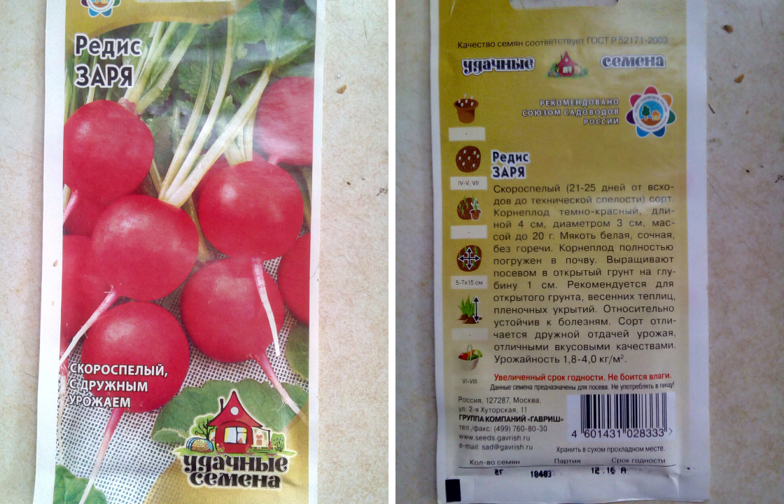 Выбранный сорт редиски