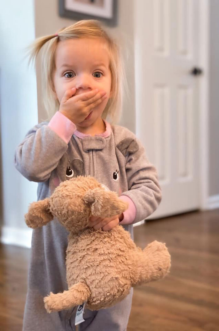 Недавно маленькая девочка по имени Джунипер потеряла свою любимую игрушку по имени Руфф Руфф. Игрушку случайно оставили в отеле во время футбольного турнира. По словам мамы, Джунипер разрыдалась, когда поняла, что ее любимой игрушки больше нет с ней, поэтому она решила позвонить сотрудникам и спросить, видели ли они его. “Они сказали, что сразу же проверят уборку и дадут нам знать, не видел ли его кто-нибудь”, – сказала мама. 
К удивлению Элисон, несколько дней спустя игрушку доставили обратно Джунипер, но это еще не все. Сотрудники отеля позаботились о том, чтобы Руфф Руфф хорошо провел время вдали от Джунипер, поэтому они сфотографировали все, что он делал во время пребывания в отеле.
