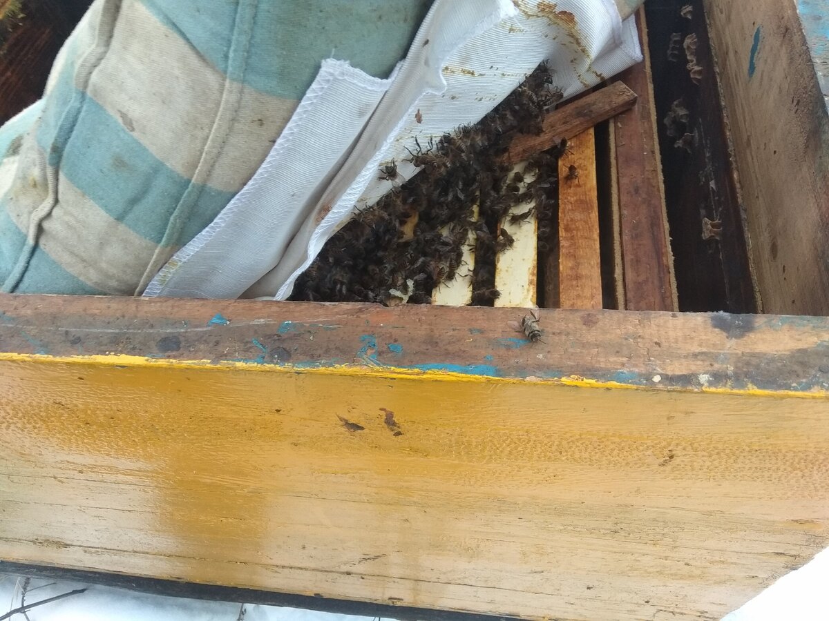 Фото из личного архива