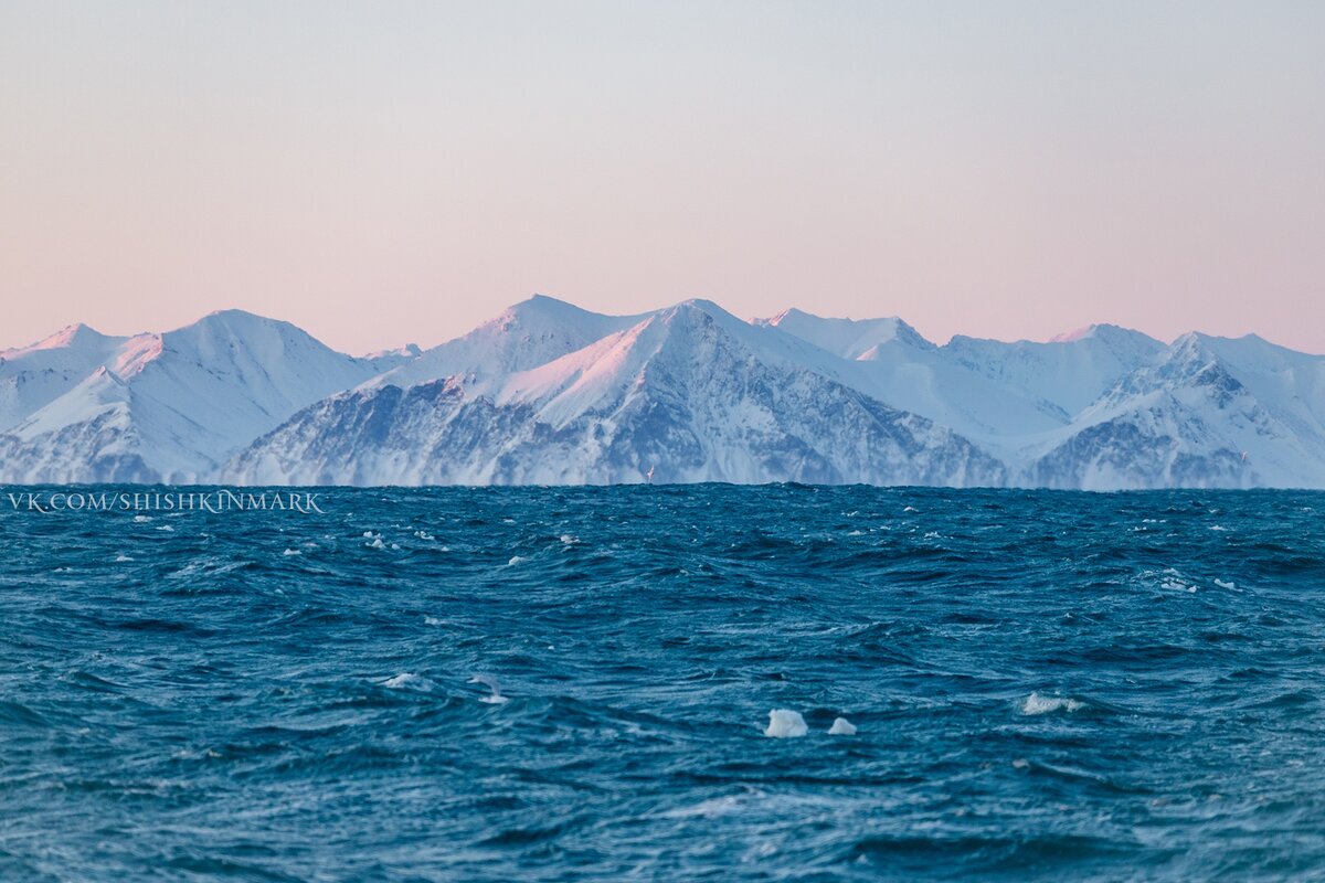 берингово море россия