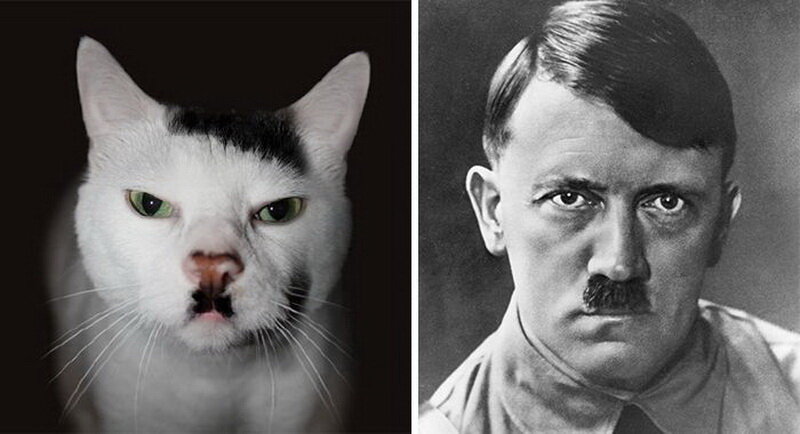 Фотоколлаж из общедоступного источника