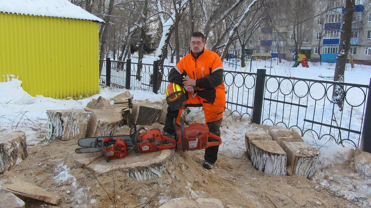 Профессия пильщик деревьев. Помощник пильщика. Пильщик работа. Пильщик дров.