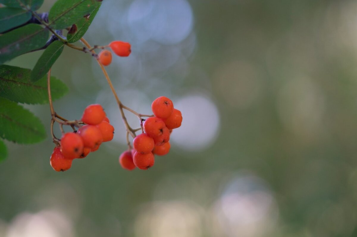 Выбор сужается...