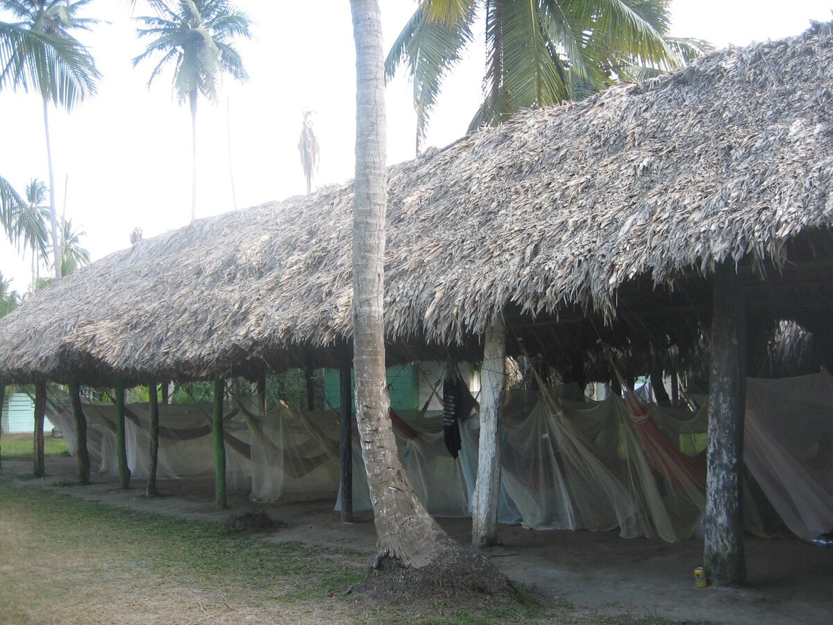 2 ночи в Колумбии в гамаке