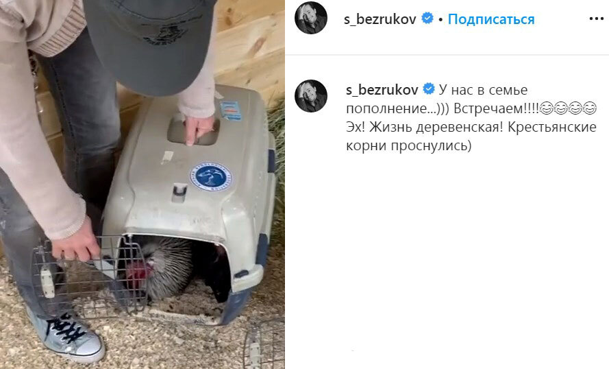 Screenshot страницы официального instagram Сергея Безрукова