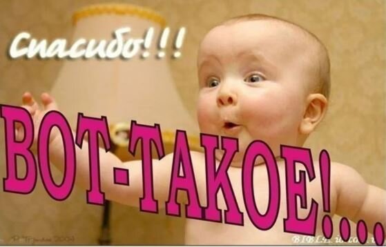 Спасибо за ваш самоотверженный труд!!!