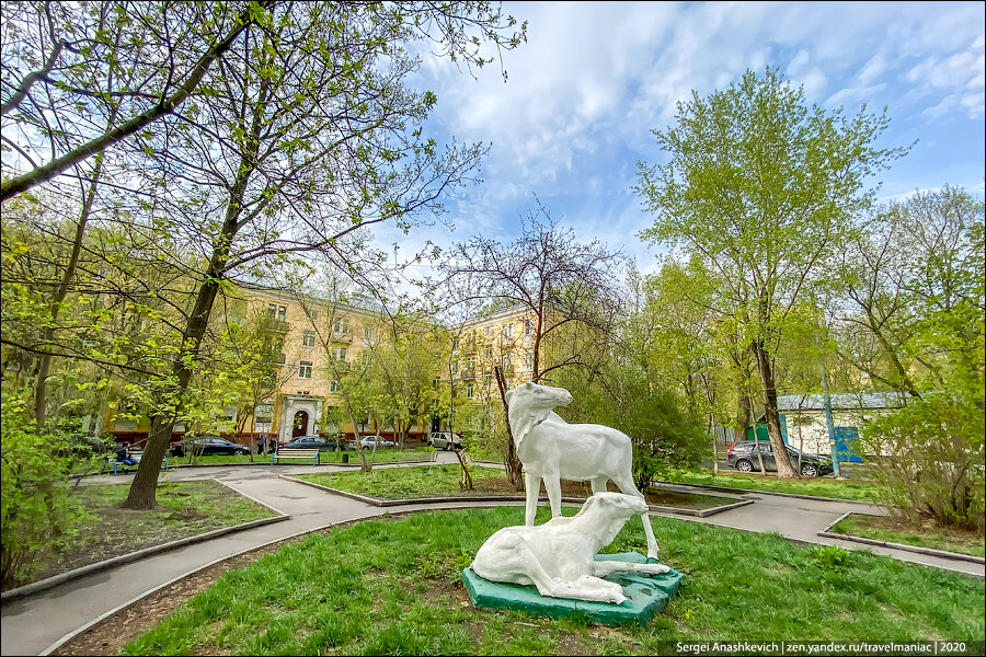 Красивая весна в Москве, несмотря на карантин. Минипутешествие по району по пути в магазин