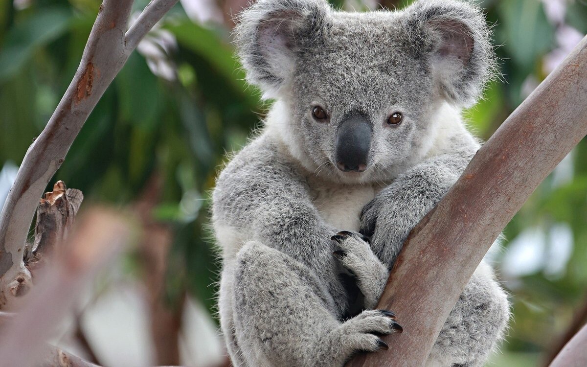 Если ваша кровь как клей, не удивляйтесь, что часто болеете. 