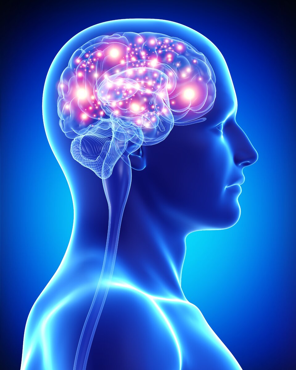 World is mind. Искусственный интеллект и человеческий мозг. Мозг красивые картинки.