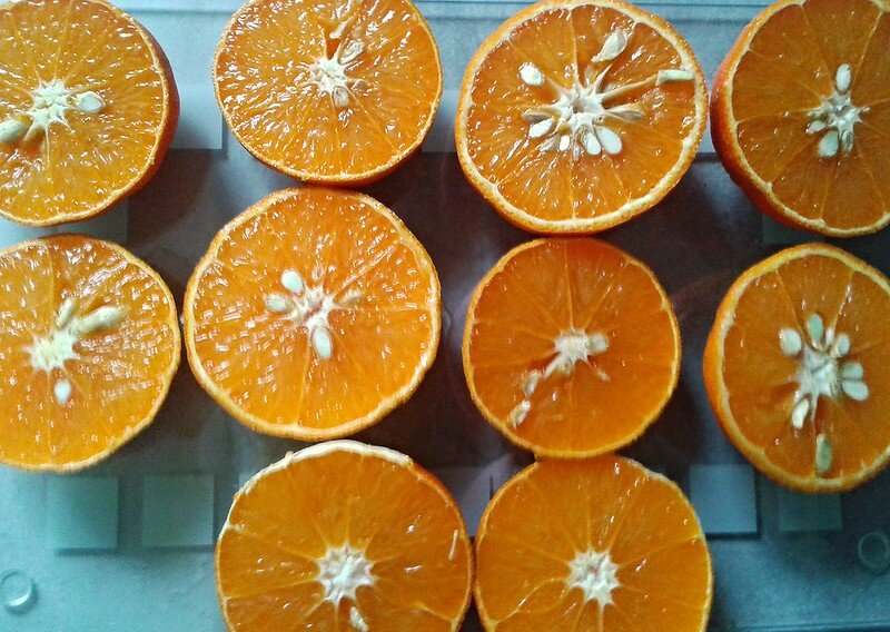 ans-juergen, flickr.com 