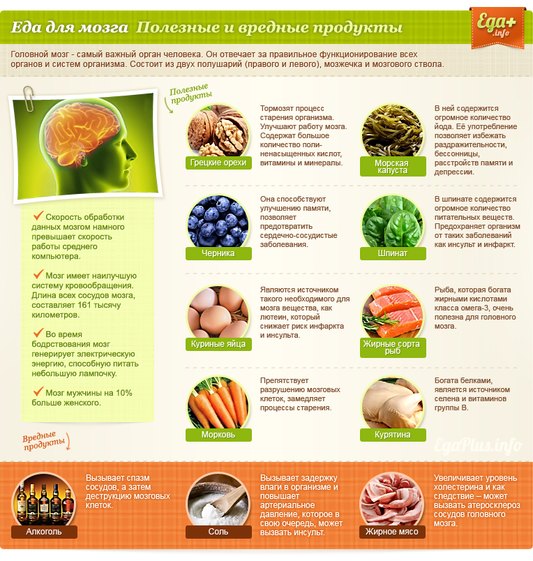 edaplus.info