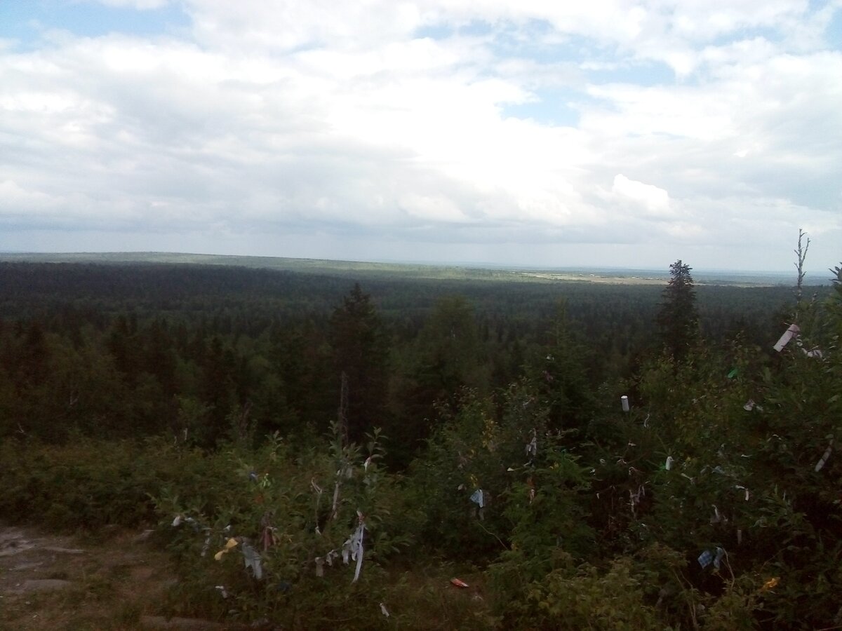 Бескрайние леса Пермского края