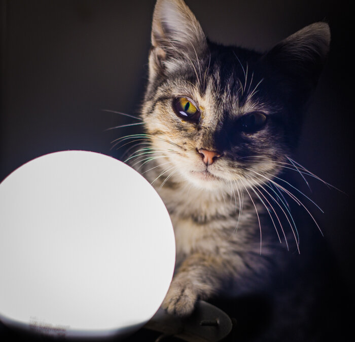 фото из открытого источника.