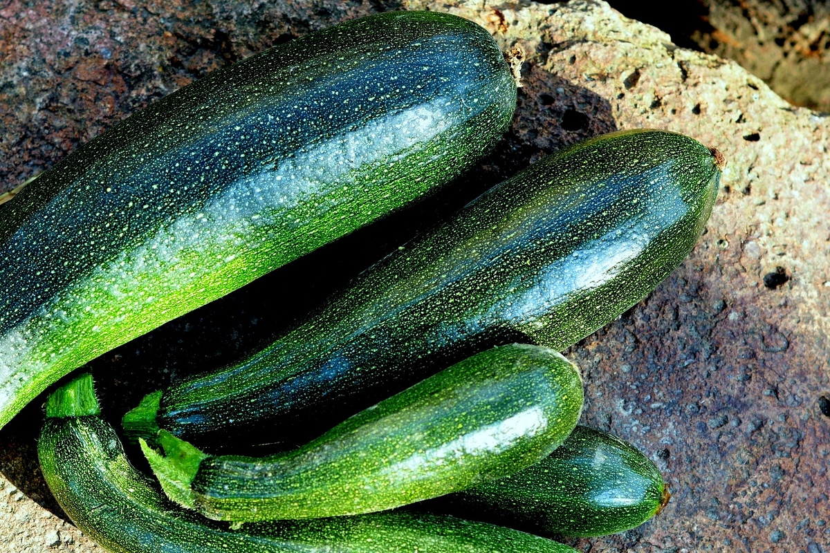 Гибриды отличаются более высокой урожайностью и устойчивостью к различным заболеваниям и намного раньше начинают плодоносить.