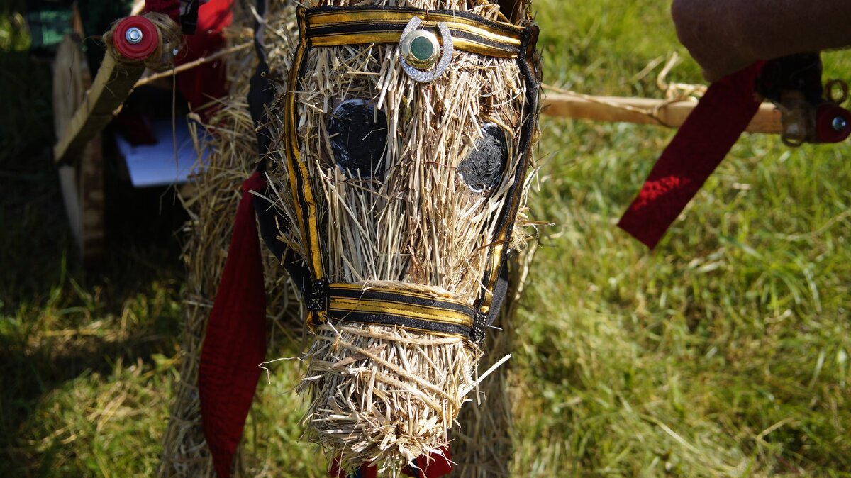 Пучеглазая лошадка