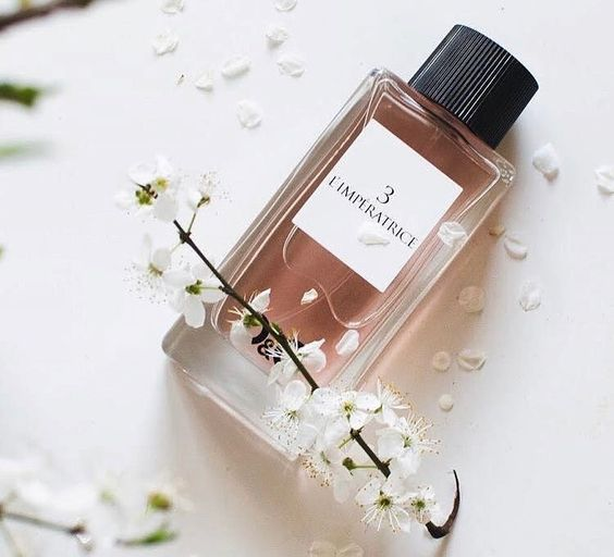 Синим цветом выделены ссылки. Если вы по ним перейдете и что-то захотите купить, автор получит небольшое вознаграждение