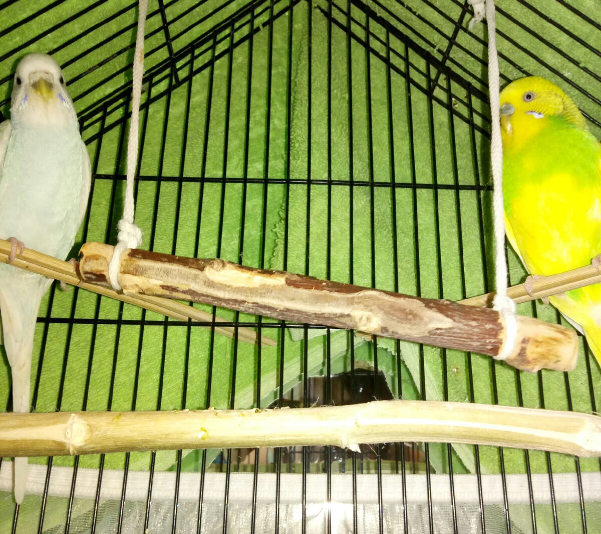 Фото автора истории. 