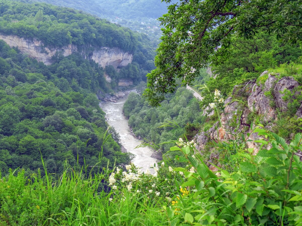 Лето в Адыгее. Здесь и далее фото автора.