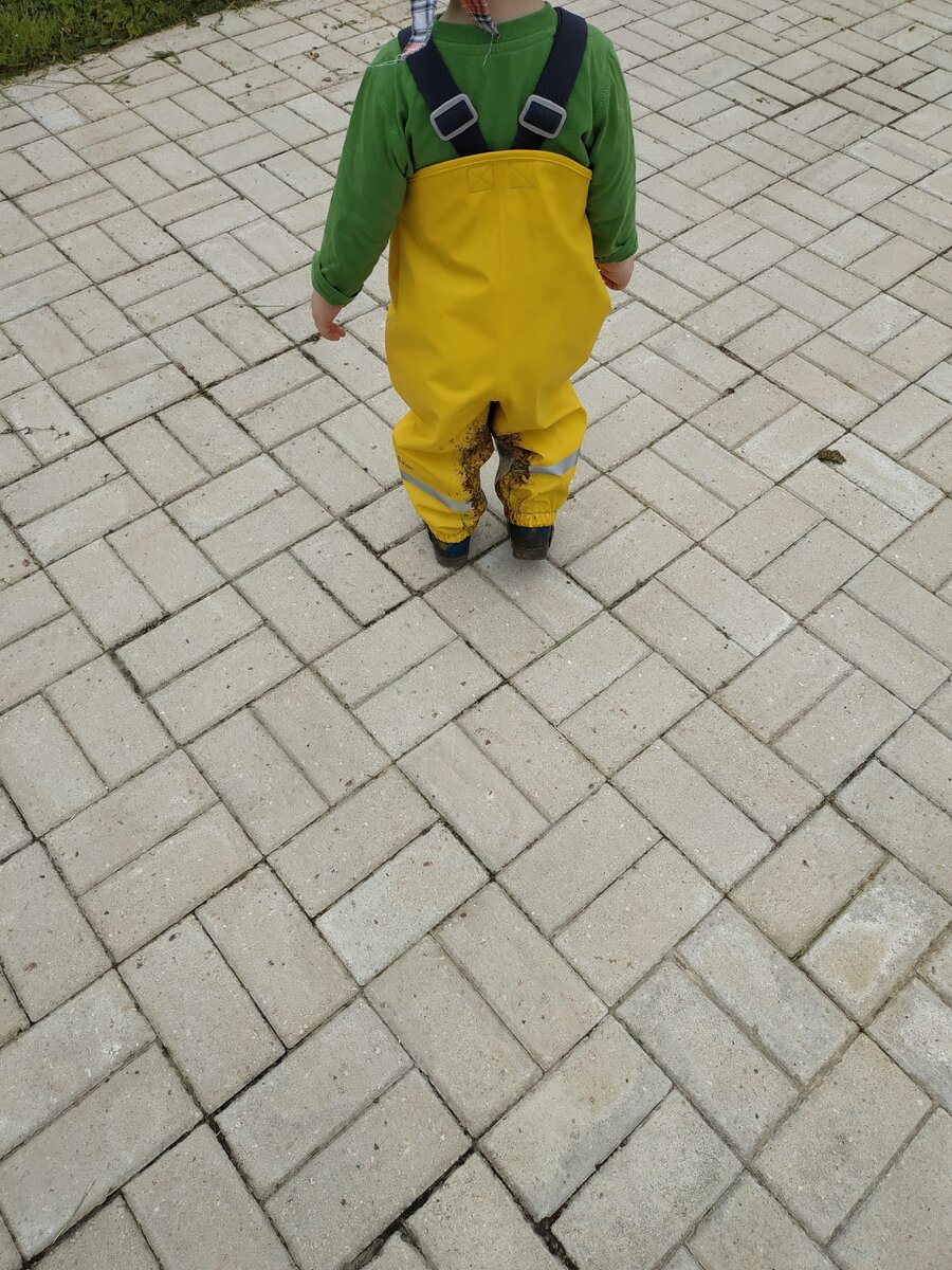 Это не лужа, это была Грязь, именно с большой буквы))