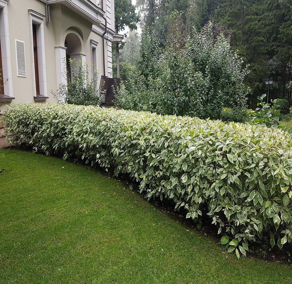 Важно при планировании учитывать все рекомендации