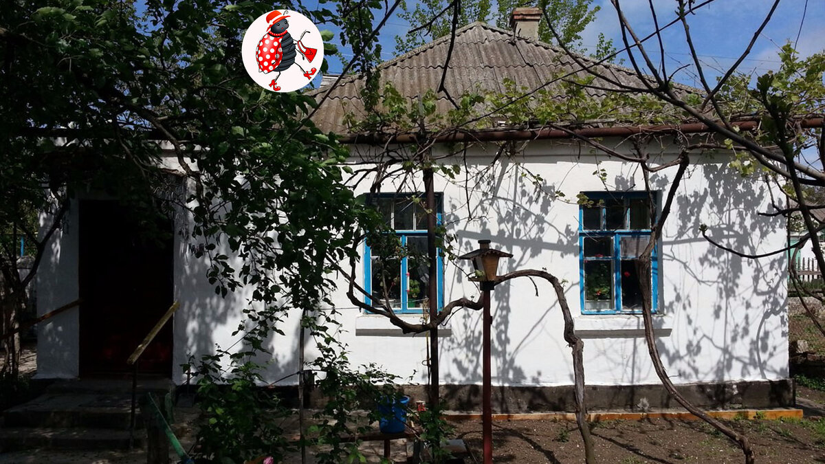                         Ставьте лайк! Пишите комментарии!  Подписывайтесь на канал!