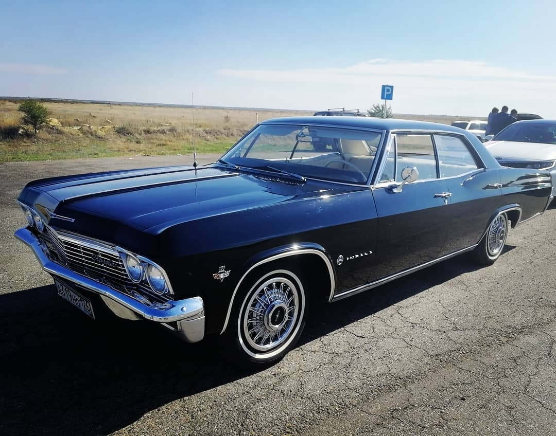 Картинка позаимствована с сайта:zelenoemore.ru