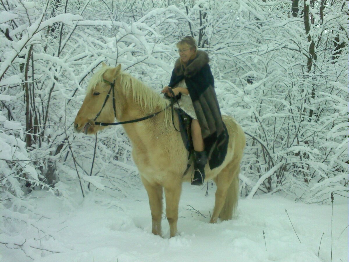 Это не Крым, но тоже лес и зима. Фото автора