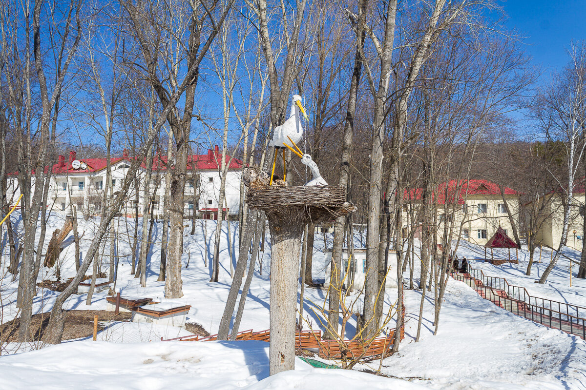 Территория Санатория "Пещера Монаха". (Фото с сайта санатория).