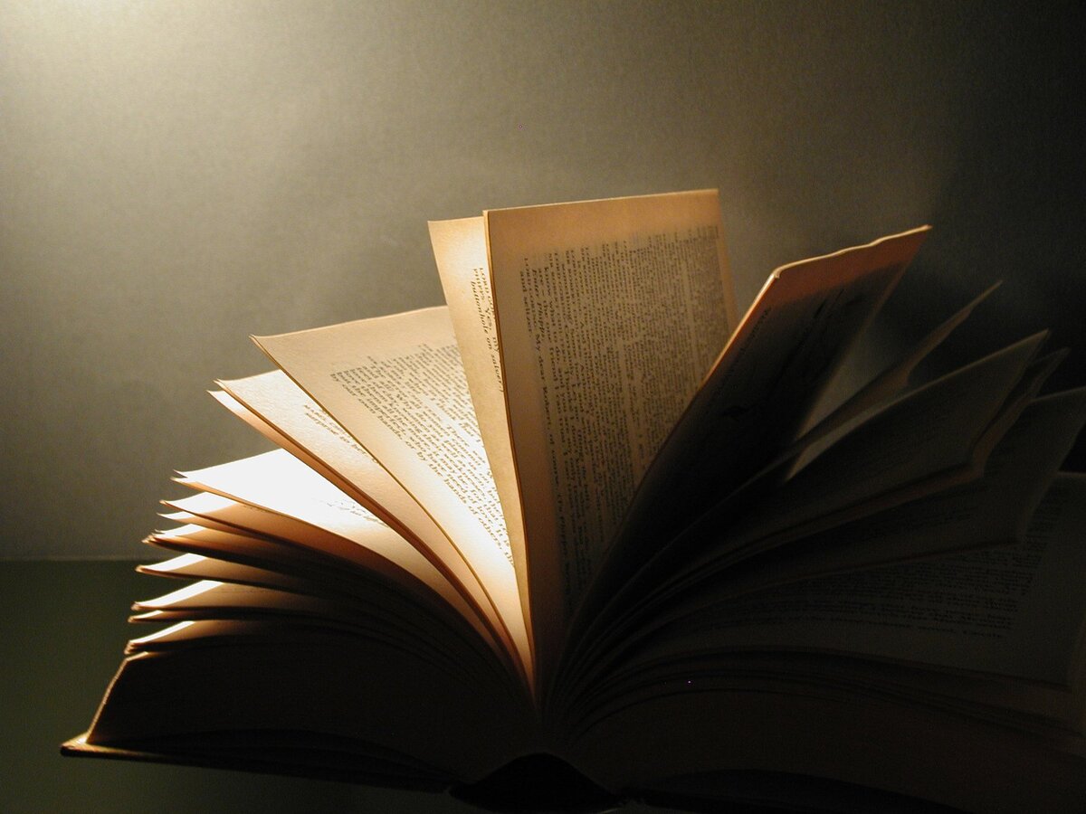 Картинки открытая книга красивые