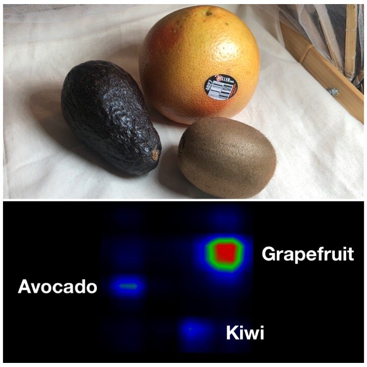 Авокадо, грейпфрут, киви... Что ещё "увидит" на нашем столе смарт-ткань?
