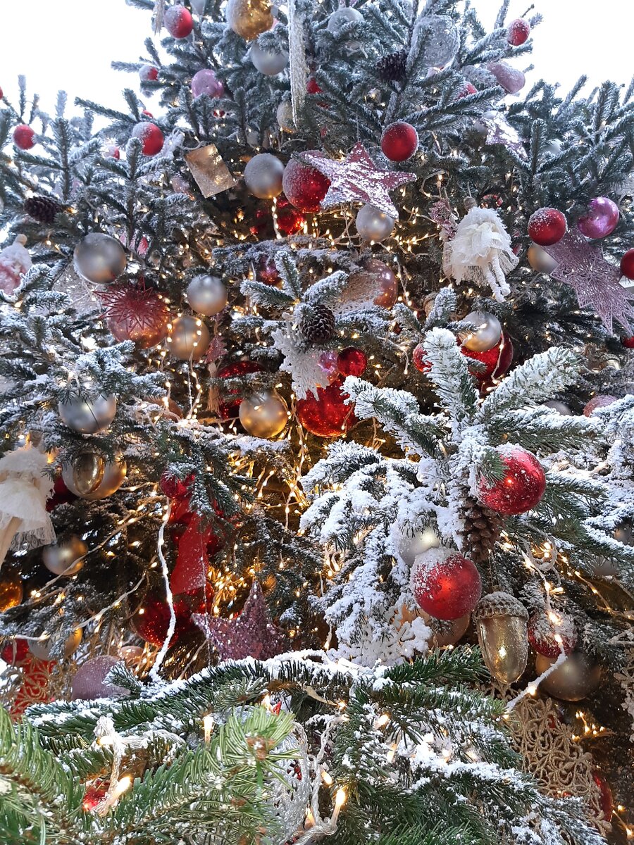 Мечтать НЕ вредно!