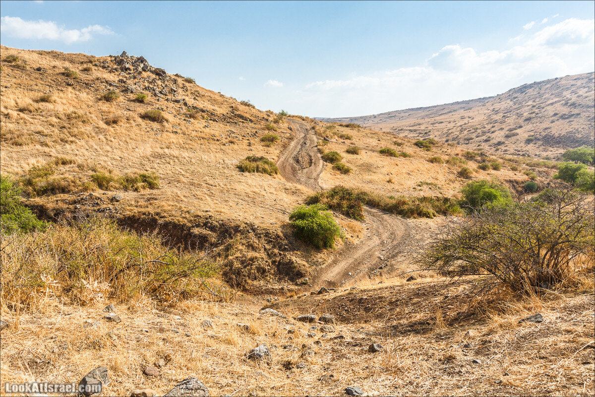 виды с горы