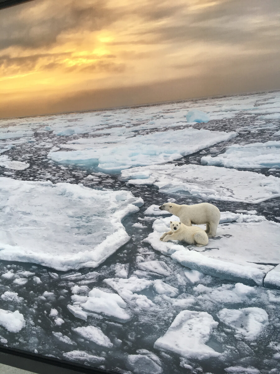 Фотография северного полюса