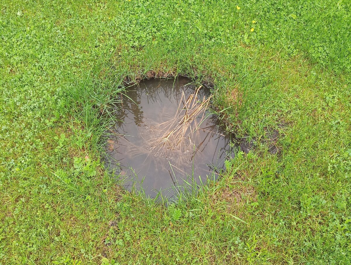 Тут была слива, дерево убрали, яма пока пустая, ...  после дождя 04.06.2020