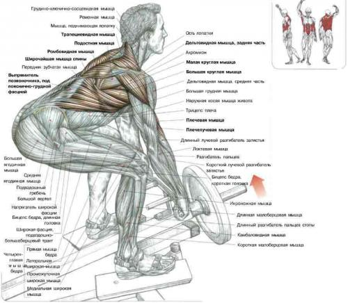 Фото из Интернета 