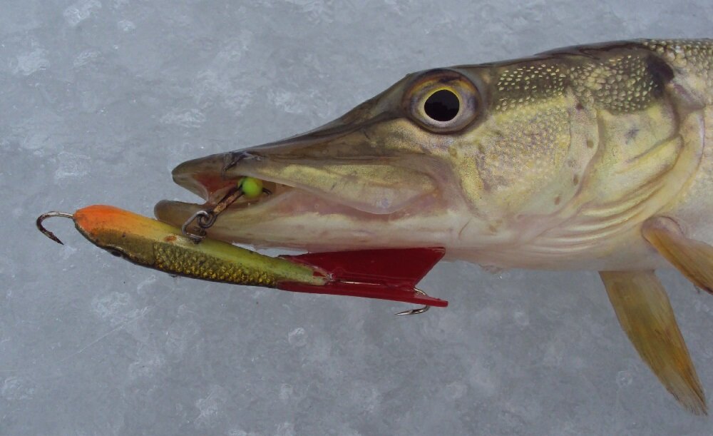 Источник Яндекс картинки 