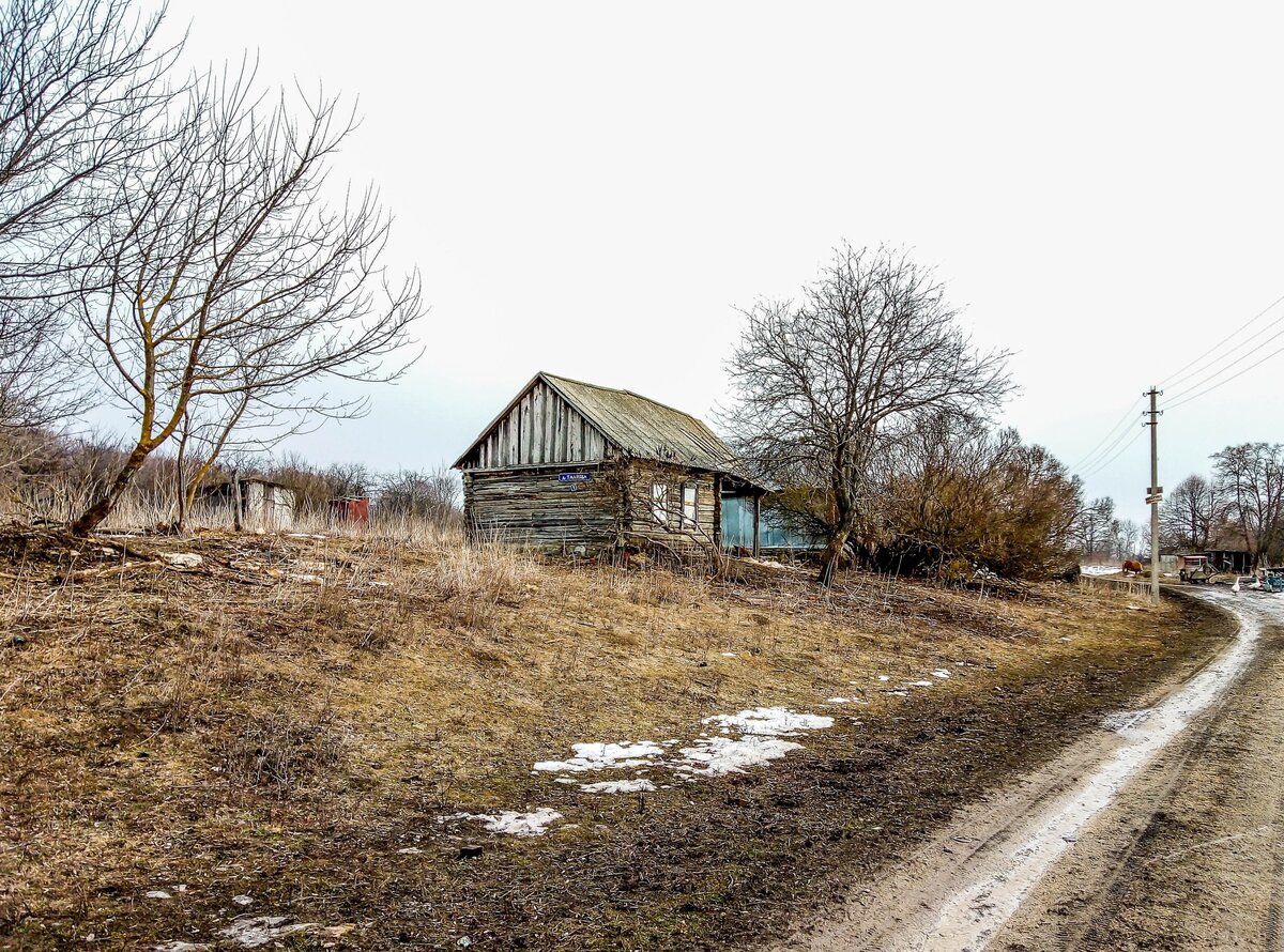 Глухая деревня в российской глубинке. Здесь остались лишь пять жилых  дворов. Все остальные дома - заброшены | Прекрасное рядом | Дзен