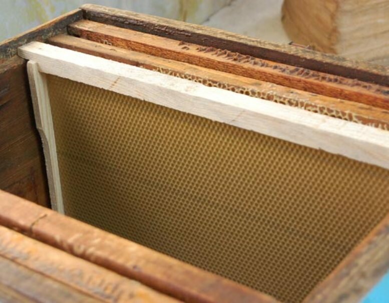 Постановка вощины в улей должна быть своевременна