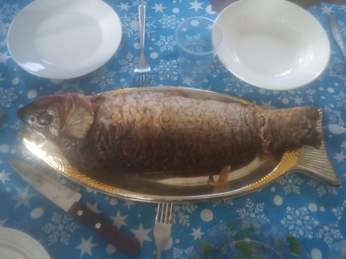 Рыба нерестится, жор рыбы / Донская рыба, снасти для рыбалки / Рыбалка на Дону