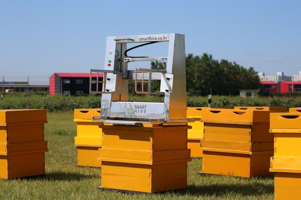 Фото Smart Hive.