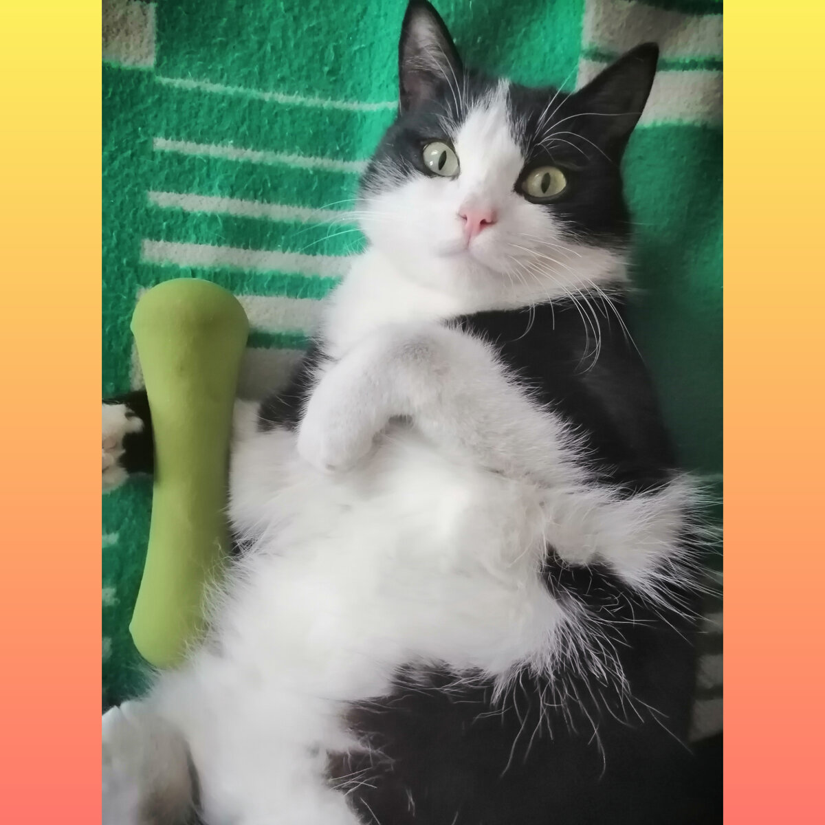 "Ням-ням я люблю! "- говорит Бусик