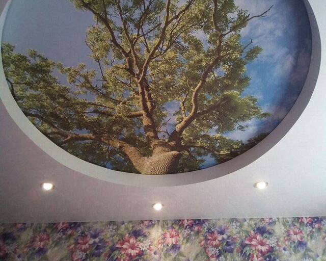 Фото из открытых источников