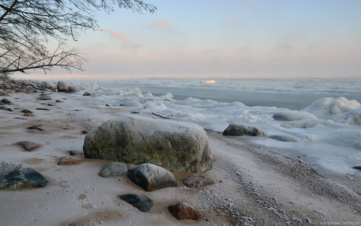 Балтийское море зимой. Замерзшее Балтийское море. Замерзшее Балтийское море Зеленоградск. Балтийское море Калининград зима. Балтийское море зимой замерзает.