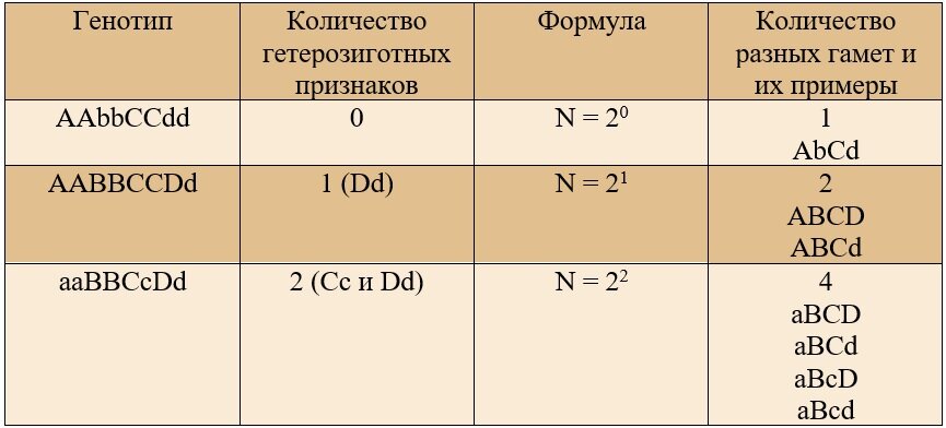 Сколько типов гамет образует aabbccdd. Определить колво гамет. Формула для определения количества гамет. Как определить число гамет формула. Сколько % гамет у человека являются дефектными.