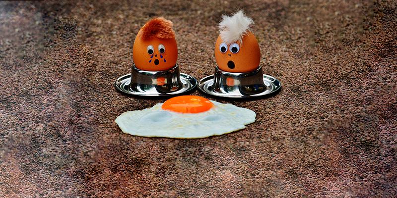 Инсталляция из куриных яиц. Изображение ️A life without animals is not worth living️ с сайта Pixabay, Pixabay License